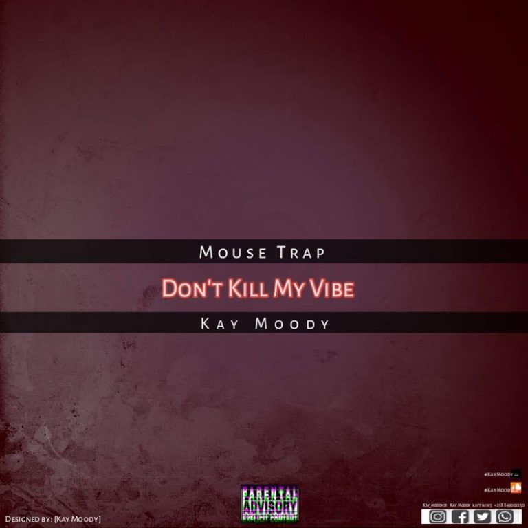 Mouse Trap ft Kay Moody – Don’t Kill My Vibe