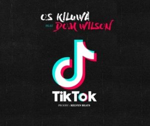 Os Kiluwa e Dom Wilson - TiK ToK