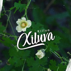  Killua – Xiluva