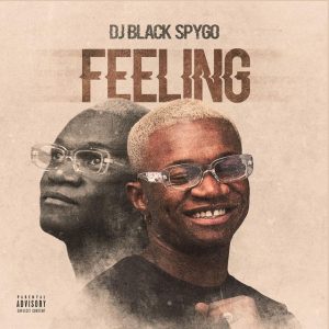 DJ Black Spygo - Feeling (EP) 