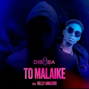 Diboba & Nelly Amazing - To Malaike