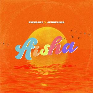 Phizbarz  Afroplugs  - Aisha